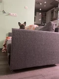 Фото из отзыва покупателя