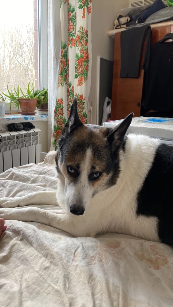 Фото покупателя