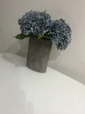 Фото отзыва