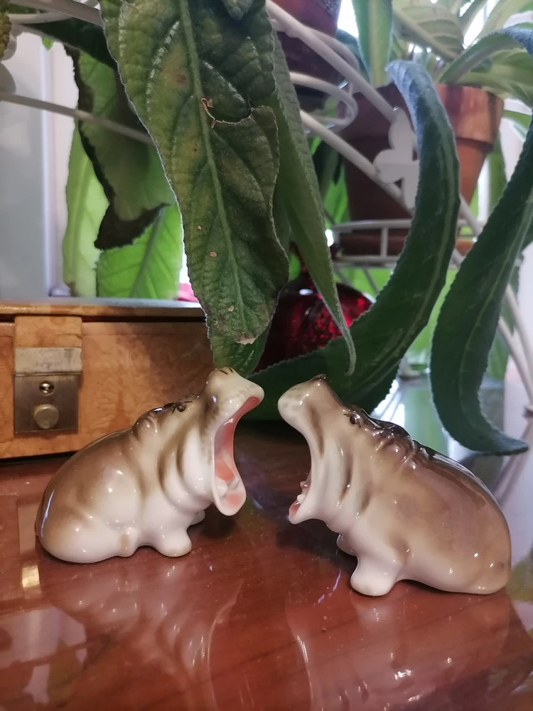 Ольга отзыв от 13.01.2026